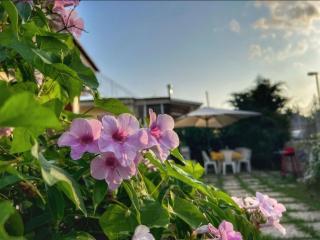 Casa Vacanze Villa Marisol - Vico Equense - 2