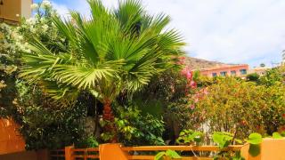 Deluxe garden flat near Terra-Mítica - Benidorm - 2