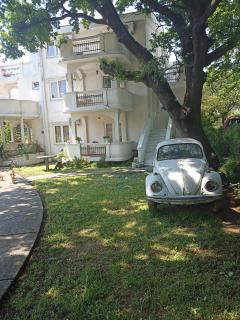 Apartments Villa Mond - Sutomore - 7