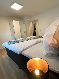 3Room-Central-Modern near MTU- The Zeppelin by Lakescape FeWos - Friedrichshafen - 1