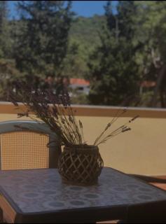 My Oasis - Nečujam - 5