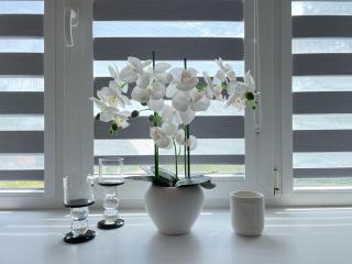 Balvi apartment - Balvi - 5
