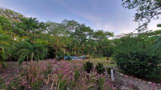 Villasjungle 1 - Sámara - 7