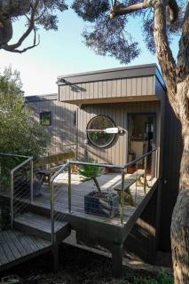 SaltBush - Saint Andrews Beach - 5