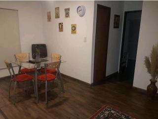 Departamento Centeno. Centrico. - Santa Rosa - 6