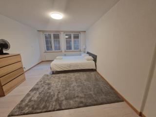 Saaner Valley Home - Boltigen - 4