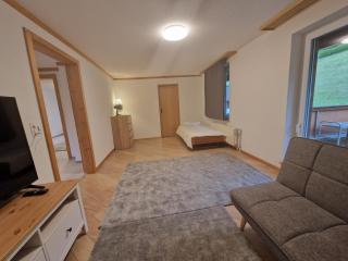 Saaner Valley Home - Boltigen - 6