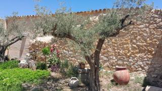 Casa Rodriguillo - Pinoso - 9
