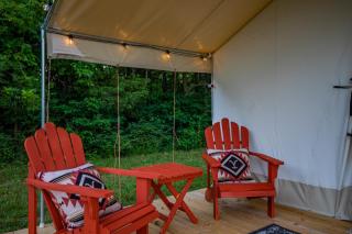 Starlit Nights during Natures Cozy Retreat - 1