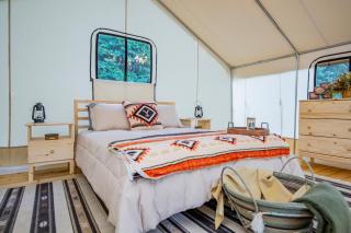 Starlit Nights during Natures Cozy Retreat - 4