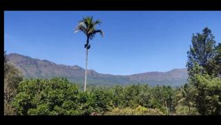 Nature Inn stay - Chikmagalūr - 0