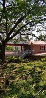 Nature Inn stay - Chikmagalūr - 7