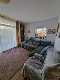 Harmony Haven - Cluj-Napoca - 7