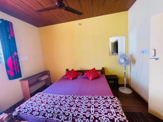 NEW ORGANIC HOME STAY - 4