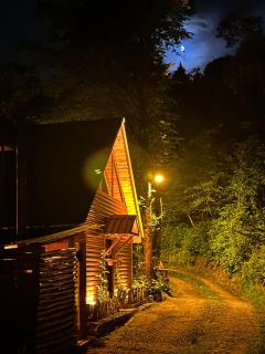 Forest Dağ House - Ayder Yaylasi - 2