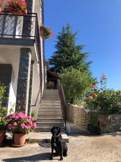 Apartman Villa Romana - 4