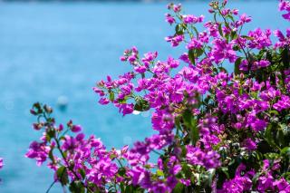 Small house at seafront - Tisno - 3