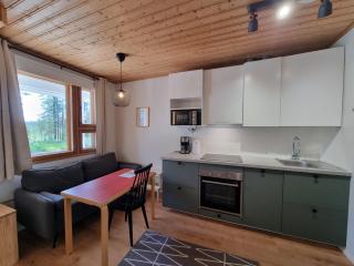 Ylläksen Metsäpirtti - Ulkoilijan koti - Äkäslompolo - 1
