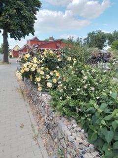 Uckermark "Ferienwohnung Sommerfugl " - 7