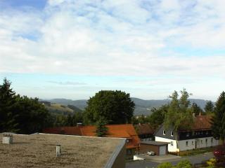 Schnuckliges Apartment mit Traum-Panorama im Harz - Sankt Andreasberg - 1