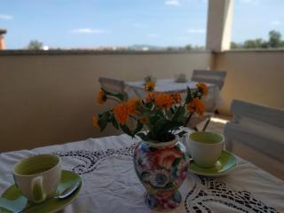La Casa dei Fenicotteri - Olbia - 9