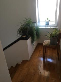 Bamboo house - Zaboric - 4