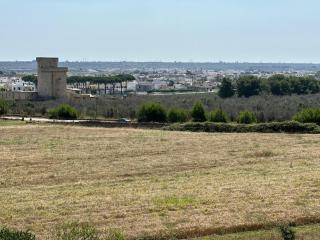 Masseria Patese - Acquarica del Capo - 4