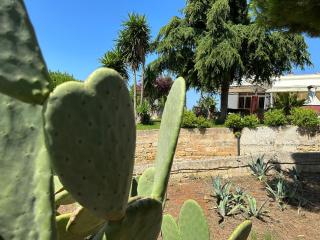 Masseria Patese - Acquarica del Capo - 3