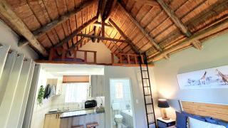 Wild Forest Inn - 1
