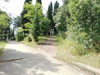 Renta apartman - Podgorica - 4