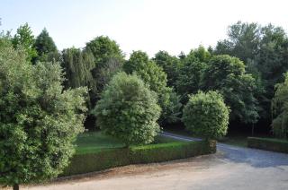 La Villa des Tilleuls - Cambremer - 1