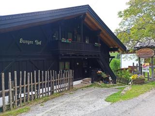 Burgerhof - San Genesio Atesino - 4
