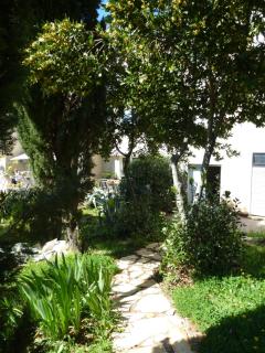 Studio Apartman Ruzmarin - Njivice - 0