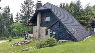 Rogla - Chalet Mojca Pokrajculja - Zreče - 9