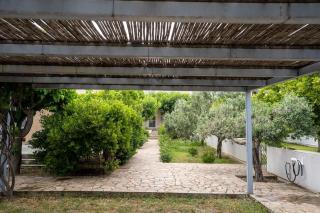 Casa Angelika, Karystos, Evia - Aëtós - 9