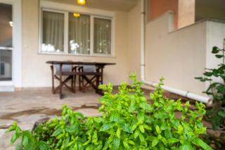 Casa Angelika, Karystos, Evia - Aëtós - 5