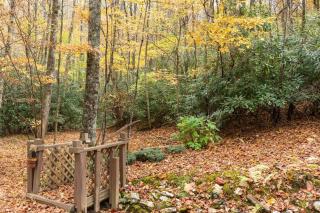 Moss Haven Cabin - Peaceful Blowing Rock Getaway - Blowing Rock - 7