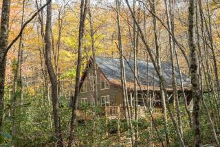 Moss Haven Cabin - Peaceful Blowing Rock Getaway - Blowing Rock - 4