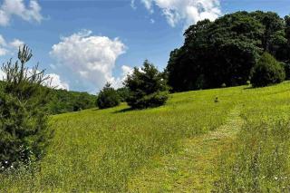 Moss Haven Cabin - Peaceful Blowing Rock Getaway - Blowing Rock - 2