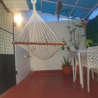 La Maison Radha - Pondicherry - 6