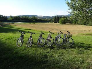 La Bastide Millassole - Aouste-sur-Sye - 1