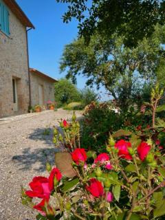 Podere Stabbiatelli - Montenero - 6