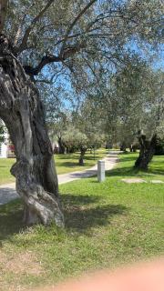 L'ISOLA DEI VACANZIERI - Sant'Andrea Apostolo dello Ionio - 1