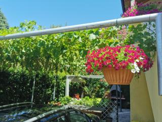 Apartman Nekic - 9