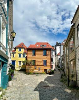 Knøsesmauet Apartment - 9