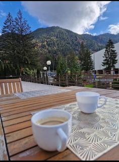Vila Pinul si Mesteacanul - Poiana Brasov - 6