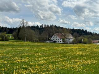 Zum Bayrischen Wirt - Maierhöfen - 0