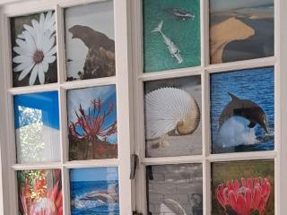 Amazing Grace B&B - Gansbaai - 6