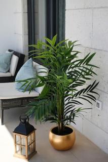 Apartment Ivona - beautiful terrace and free garage parking - Zadar - 4