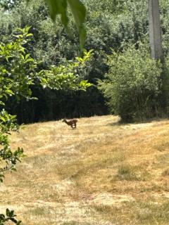 Maison Bourbonnaise idéalement placée proche du centre ville de Moulins - 1